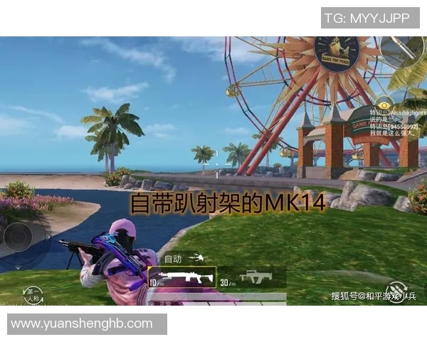 和平精英赛事中BLG比赛经验引发热议与争议的深度分析